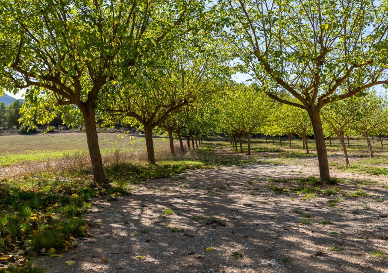 Masia Aubareda San Martín de Tous Zewnętrze zdjęcie